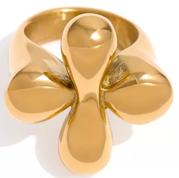 Cross Ring - Picture 4 of 4